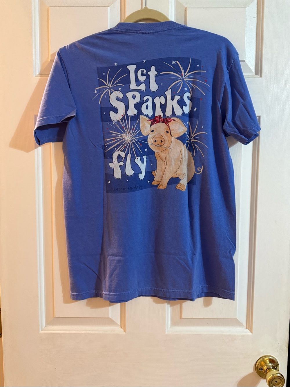 Southernology Blue Short Sleeve Tee - Pig with Sparklers Graphic